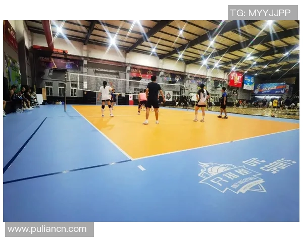 排球盛宴：深入解析杭州排球队的战术与技术创新之路