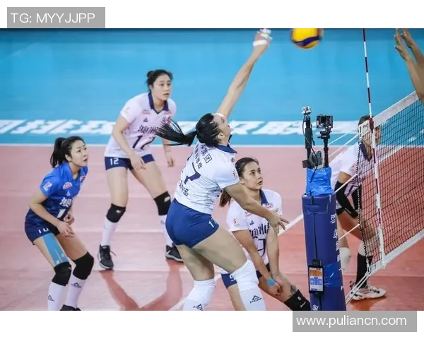 深圳排球队实力展现引发关注大满贯点评其表现与未来发展