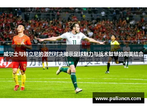 威尔士与特立尼的激烈对决揭示足球魅力与战术智慧的完美结合